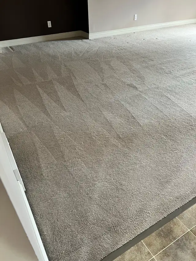 Professional Carpet Cleaning - Photo 9