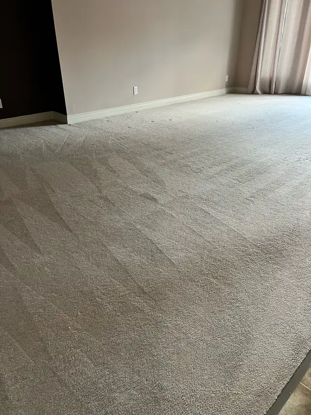 Professional Carpet Cleaning - Photo 10