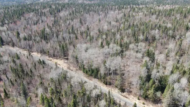 34 Acres of Land in Northern Ontario! Larder Lake 6Hrs from GTA
