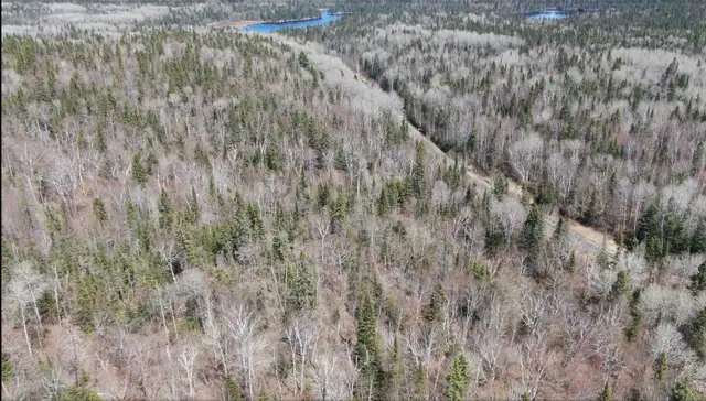 34 Acres of Land in Northern Ontario! Larder Lake 6Hrs from GTA - Photo 2