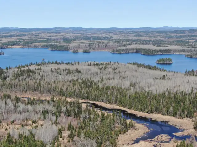 34 Acres of Land in Northern Ontario! Larder Lake 6Hrs from GTA - Photo 3