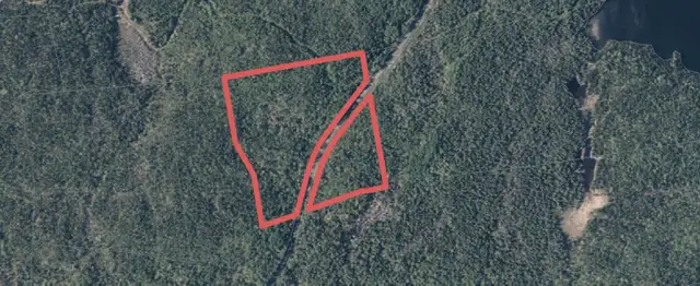 34 Acres of Land in Northern Ontario! Larder Lake 6Hrs from GTA - Photo 7