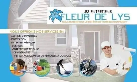 entretien ménager, pelouse, paysagement, peinture, déménagement - Photo 2