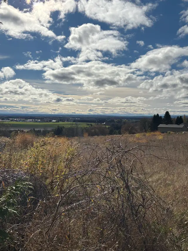 Alliston Furnished room for $645 inclusive May - Photo 7