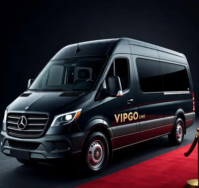VIPGOLIMO SERVICES – LUXURY YOU CAN TRUST - Photo 6