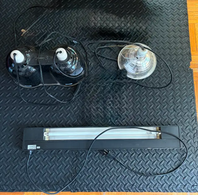 Accessoires pour reptiles