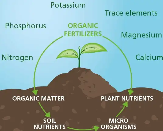 Worm castings and other all natural soil enhancing solutions - Photo 8