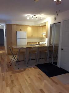 Apt. 3 1/2 Plateau | 1 Mois Gratuit | Électros | Espace Bureau