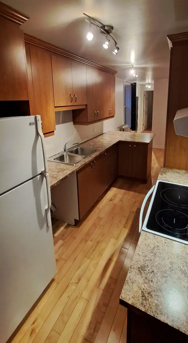 Apt. 3 1/2 Plateau | 1 Mois Gratuit | Électros | Espace Bureau - Photo 3