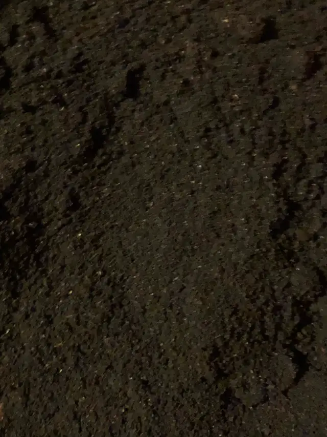 WORM CASTINGS • ALL NATURAL FERTILIZER • LIVING SOIL - Photo 2