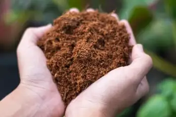 WORM CASTINGS • ALL NATURAL FERTILIZER • LIVING SOIL - Photo 3