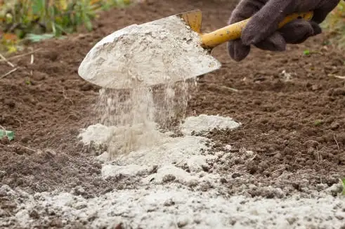 WORM CASTINGS • ALL NATURAL FERTILIZER • LIVING SOIL - Photo 4