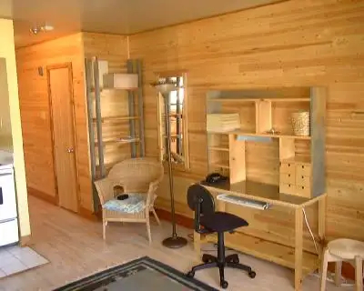 Quiet & Clean studio in Plateau Mont Royal - Photo 3