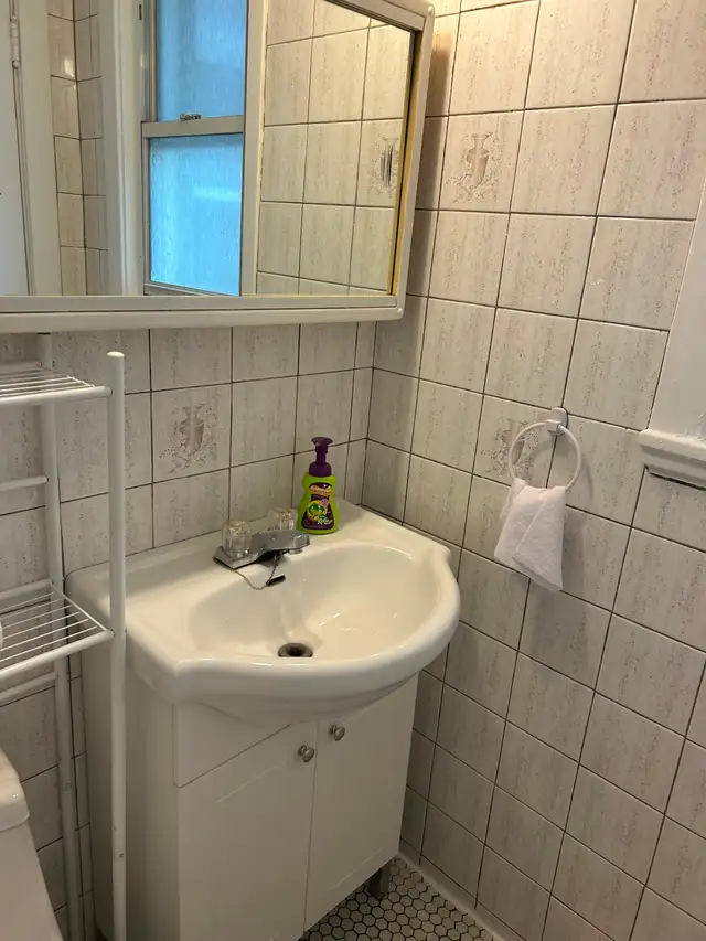 Verdun / Montreal 3 1/2  Apartment for Rent - Photo 4