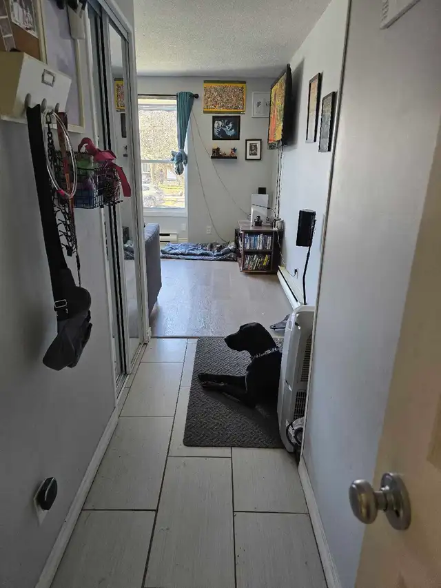 Summer Child Care - Photo 3