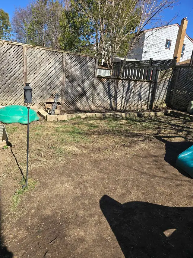 Summer Child Care - Photo 6