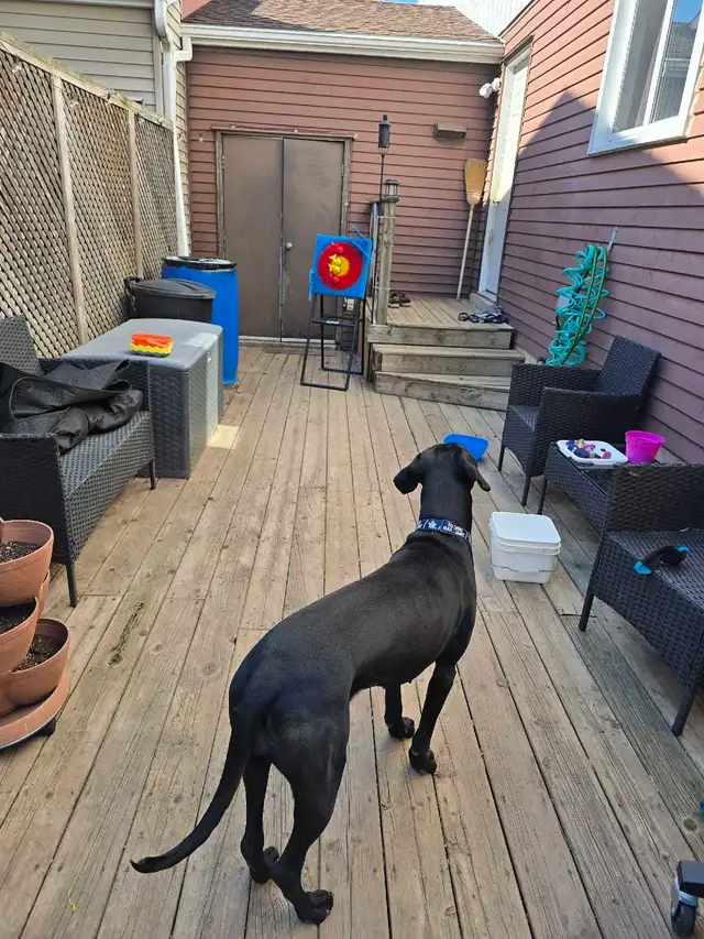 Summer Child Care - Photo 8