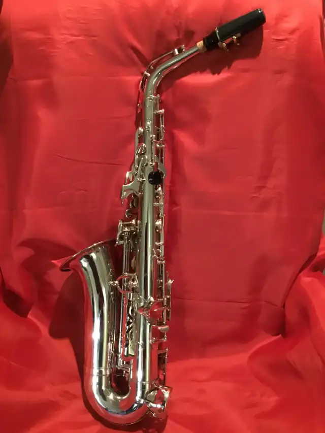 Saxophone ALTO de couleur argent - Photo 2