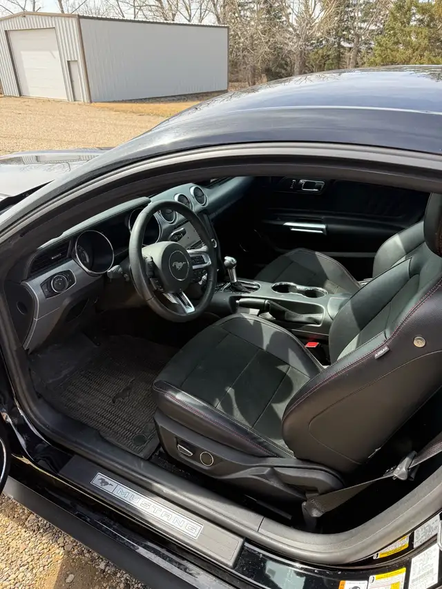 2017 Ford Mustang - Photo 5