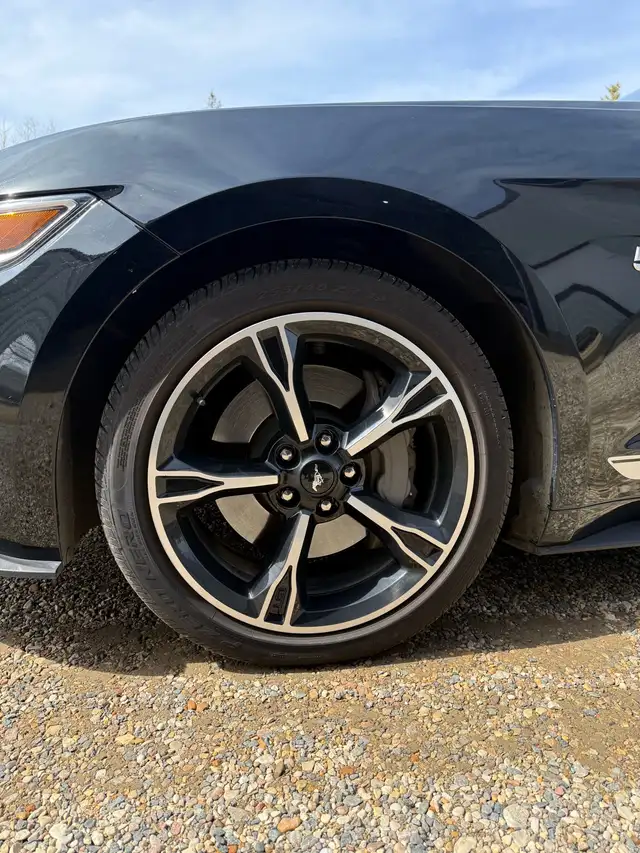 2017 Ford Mustang - Photo 6