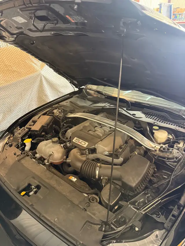 2017 Ford Mustang - Photo 8