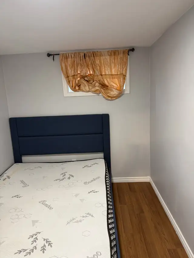 Private room in basement - Downsview area - Photo 2