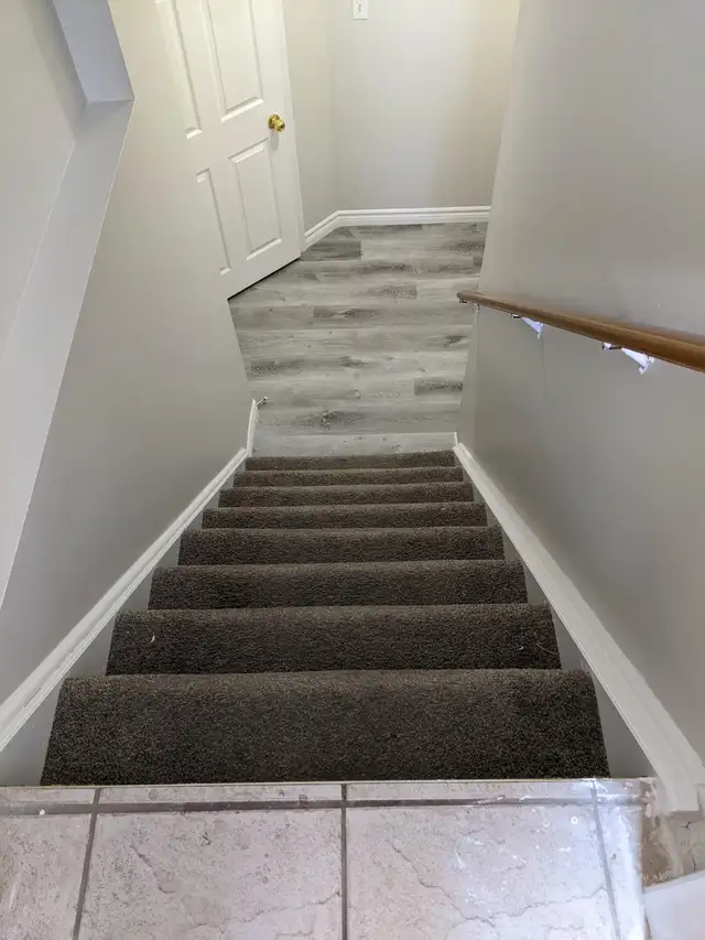 Bright and spacious 2 Bedroom Apartment (legal), South End - Photo 3