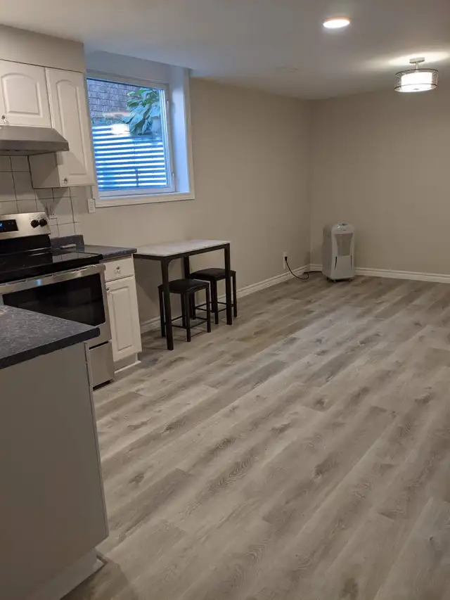 Bright and spacious 2 Bedroom Apartment (legal), South End - Photo 5