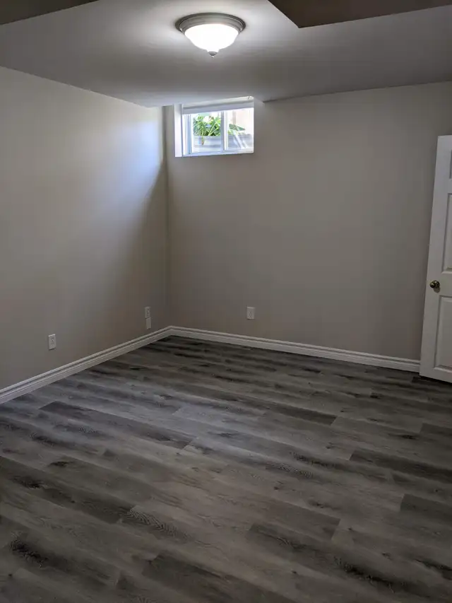 Bright and spacious 2 Bedroom Apartment (legal), South End - Photo 12