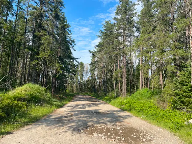 107 Acres of Land Bordering Crown Land & OFSC Trails Timmins ON! - Photo 2