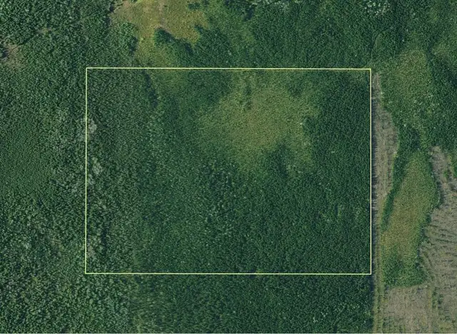 107 Acres of Land Bordering Crown Land & OFSC Trails Timmins ON! - Photo 4