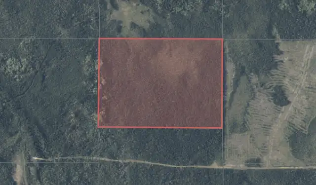 107 Acres of Land Bordering Crown Land & OFSC Trails Timmins ON! - Photo 6