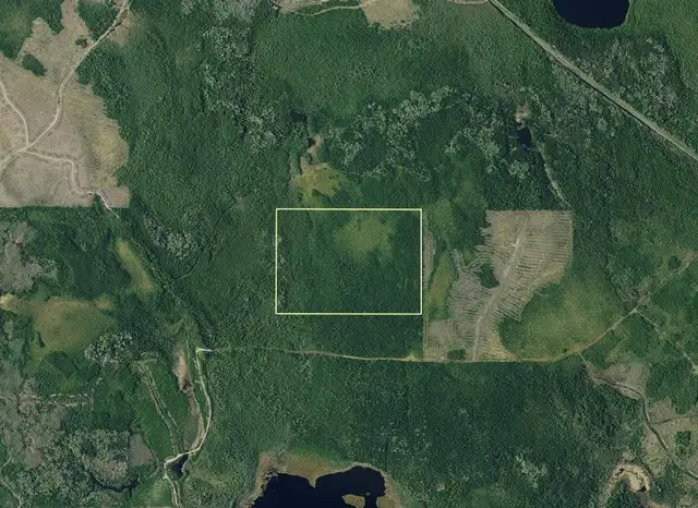 107 Acres of Land Bordering Crown Land & OFSC Trails Timmins ON! - Photo 10