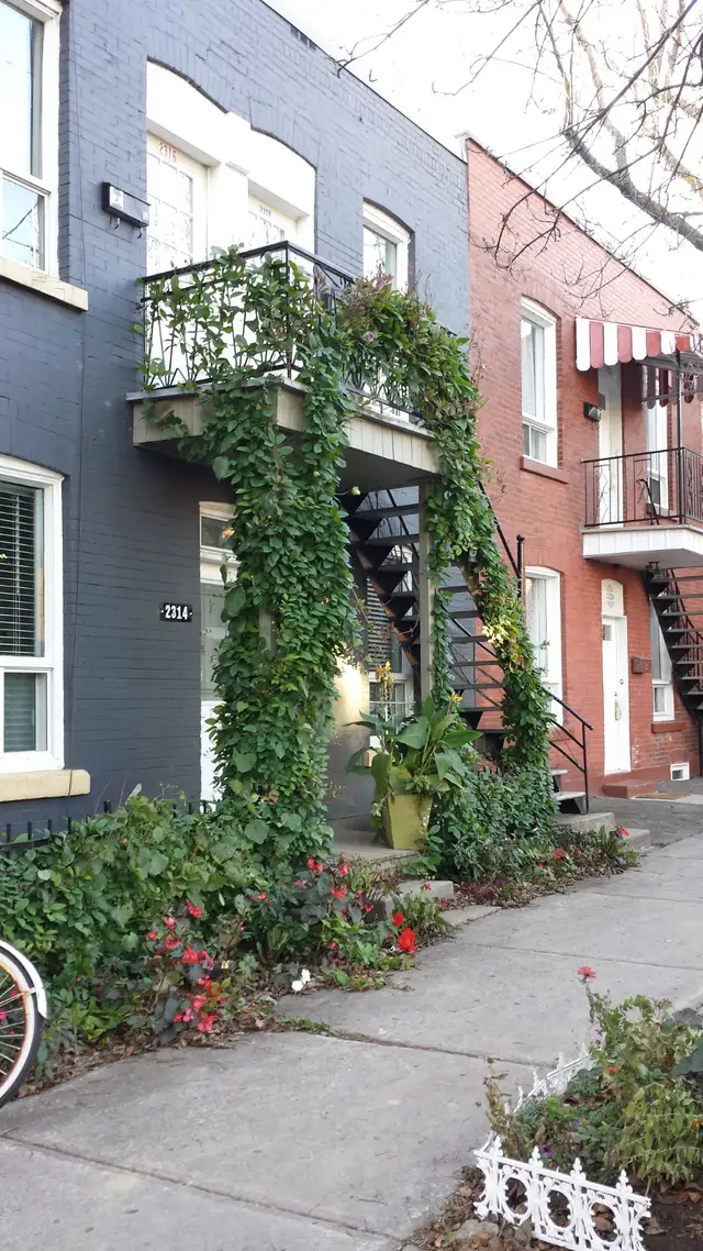 Grand 2 1/2 rénové, très ensoleillé à louer / Semis-meublé