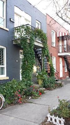 Grand 2 1/2 rénové, très ensoleillé à louer / Semis-meublé