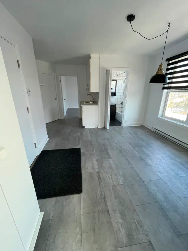 Loyer logement 3 1/2 Non fumeur rue Bruno Drummondville - Photo 24