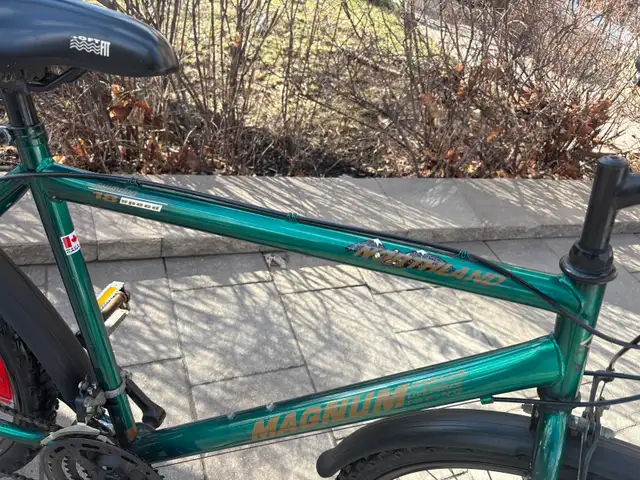 VÉLO NORTHLAND MAGNUM  18 vitesse - Photo 3