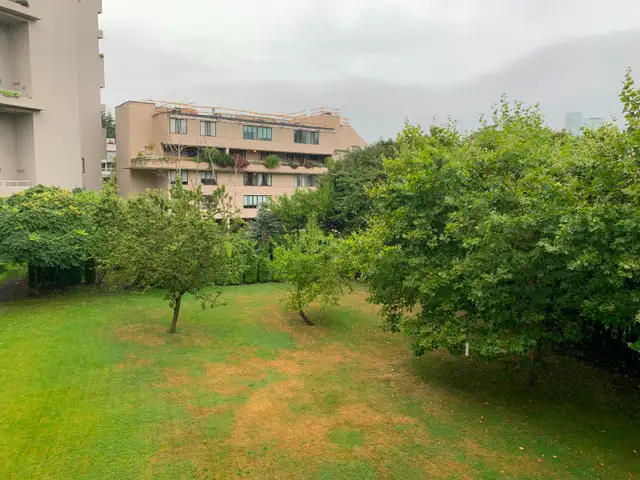 One Bedroom Apartment Next to Seawall - Photo 3