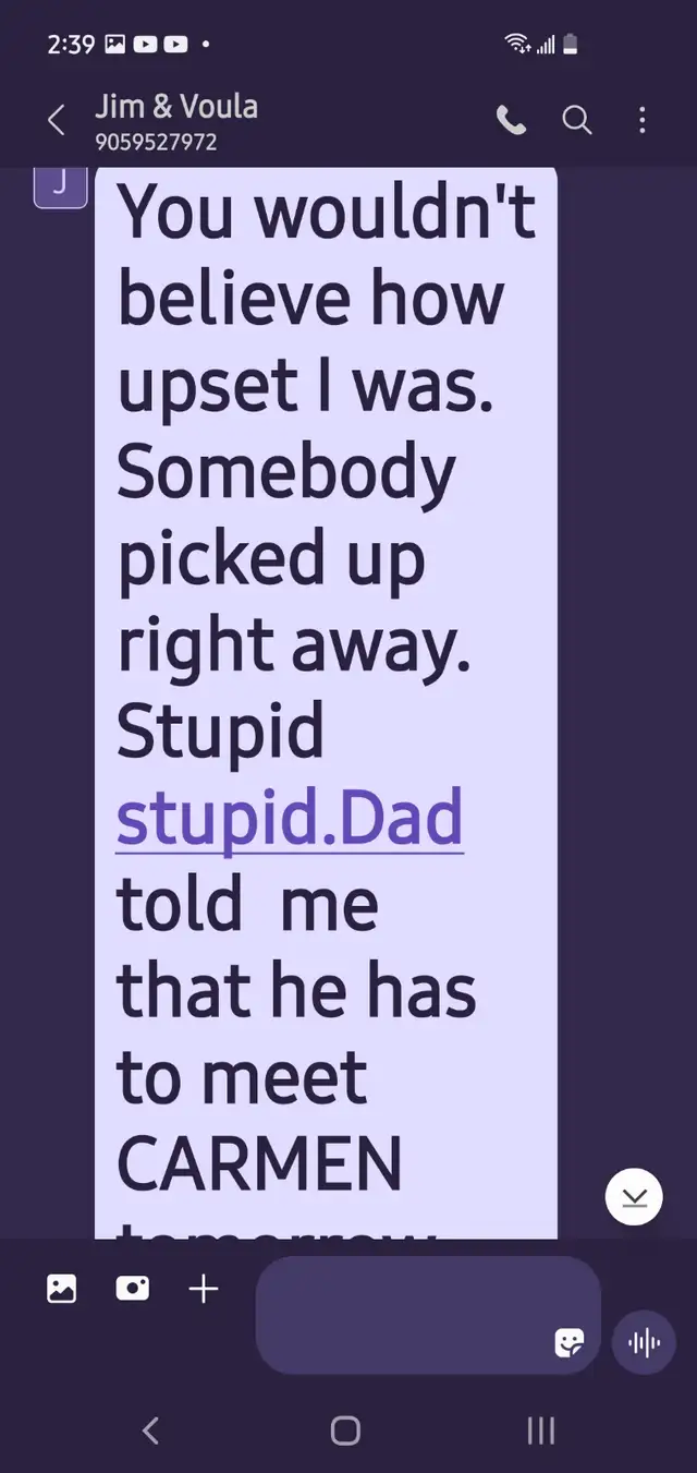 FREE OPPORTUNITY TO BE YOUR OWN BOSS IN MOUNT ALBERT - Photo 15