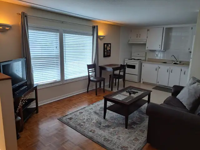 Furnished Apartment - Military IR Compliant - Photo 2