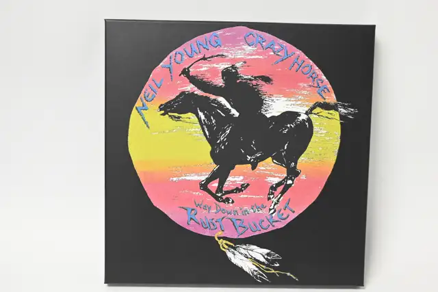 Neli Young & Crazy House Way Down In The Rust Bucket 4LP 2DVD