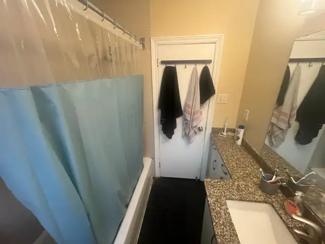 1 Roomie Steps to High Park & Bloor Subway, 3 Bedroom Apt, Now - Photo 9