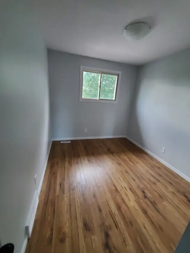 This beautiful light filled home, 3bd 1.5bath available May 1 - Photo 4