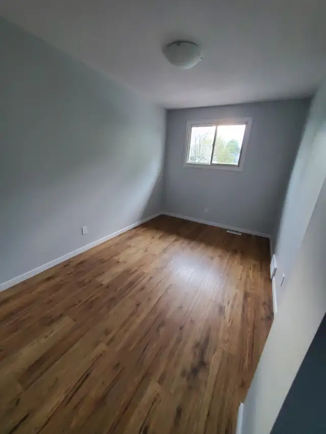 This beautiful light filled home, 3bd 1.5bath available May 1 - Photo 5