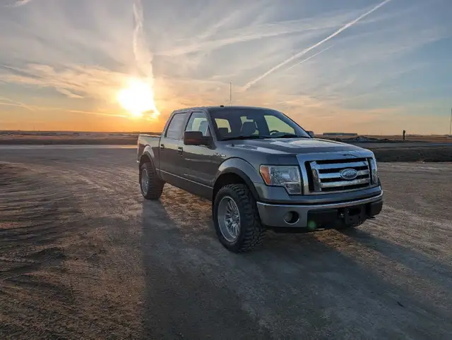2009 Ford F-150