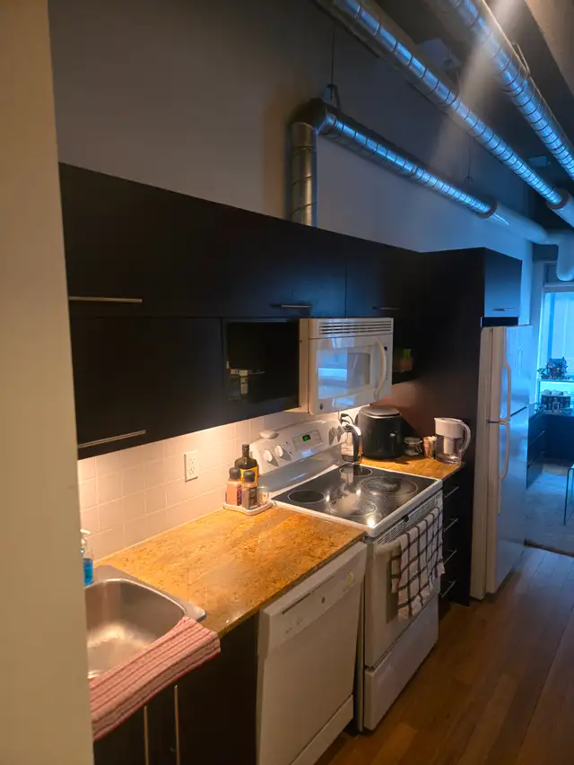 Downtown Montreal Condo for Rent | 1 Bedroom Open Concept - Photo 2