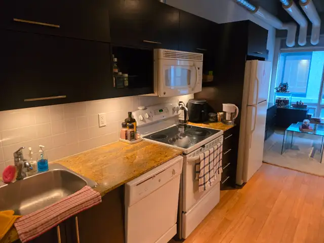 Downtown Montreal Condo for Rent | 1 Bedroom Open Concept - Photo 3