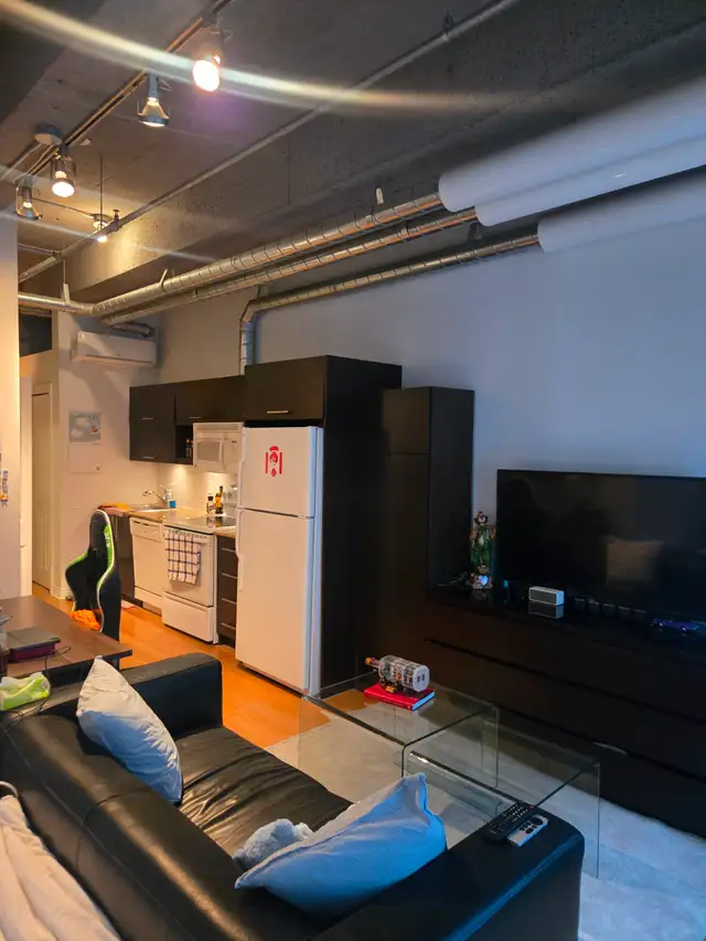 Downtown Montreal Condo for Rent | 1 Bedroom Open Concept - Photo 6