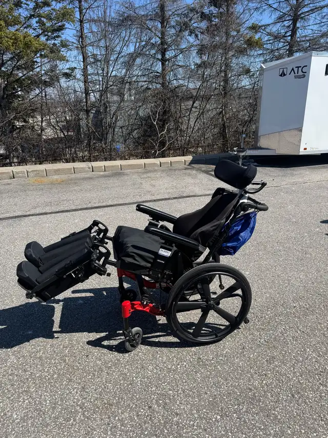 WHEELCHAIR TILT: DELIVERY INCLUDED