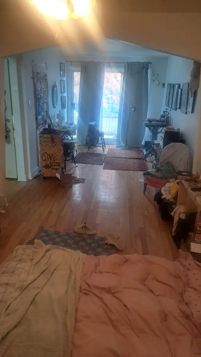 3 1/2 Hochelaga - Maisonneuve 930$ (Metro Joliette)